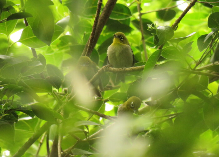 aasan 9 MB
4608 x 3456 ピクセル