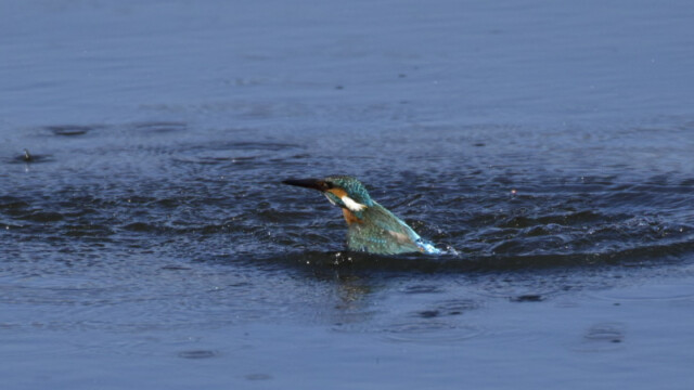 aasan
317 KB
800 x 600 ピクセル