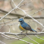 8 MB
4608 x 3456 ピクセル