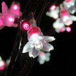 maa
3 MB
サイズ: 4608 x 3456 ピクセル