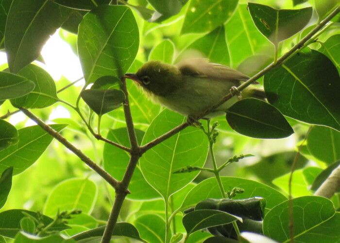 aasan 7 MB
4608 x 3456 ピクセル