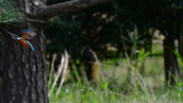 ファイルサイズ: 293 KB
サイズ: 1620 x 1080 ピクセル
aasan