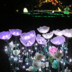 maa
4 MB
サイズ: 4608 x 3456 ピクセル