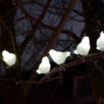 252 KB
1620 x 911 ピクセル
aasan