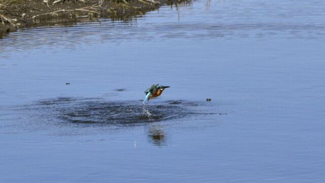 aasan
320 KB
800 x 600 ピクセル