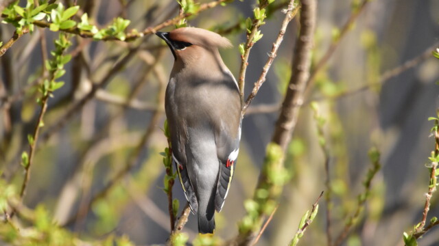 ファイルサイズ: 7 MB
サイズ: 4496 x 3000 ピクセル
aasan