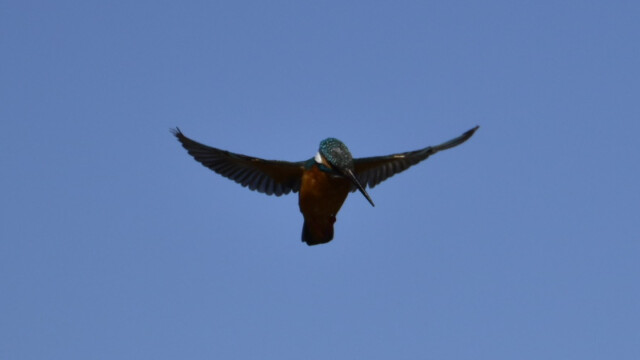 aasan
137 KB
800 x 600 ピクセル