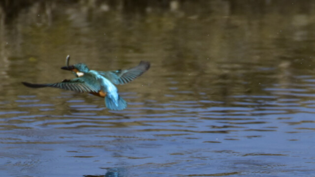 aasan
245 KB
800 x 600 ピクセル