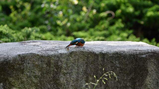 ファイルサイズ: 560 KB
サイズ: 1620 x 1080 ピクセル
aasan