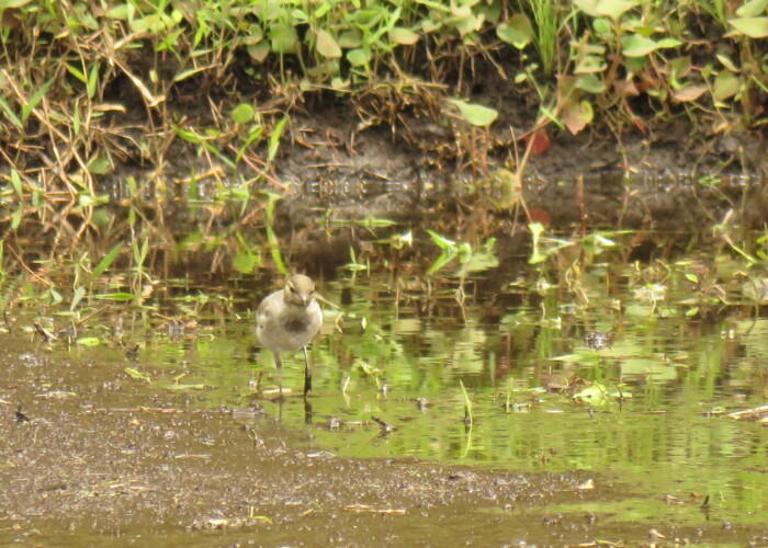 7 MB
4608 x 3456 ピクセル