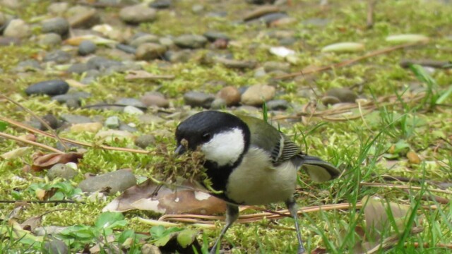 ファイルサイズ: 423 KB
サイズ: 1221 x 916 ピクセル