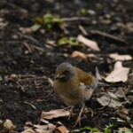 404 KB
1620 x 1080 ピクセル