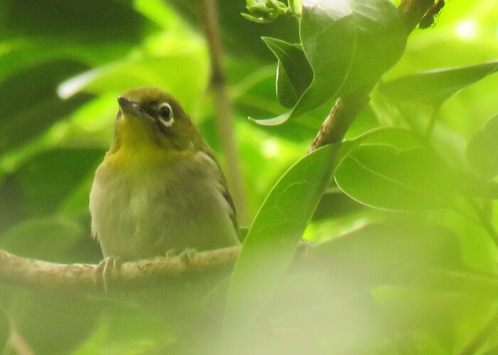 maa 395 KB
1080 x 1080 ピクセル