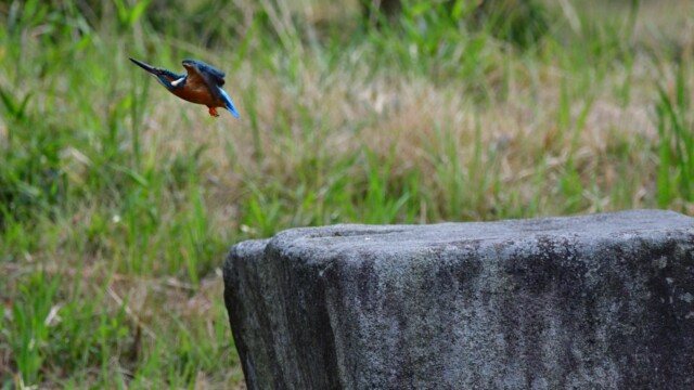 ファイルサイズ: 447 KB
サイズ: 1620 x 1080 ピクセル
aasan