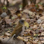 298 KB
1620 x 1080 ピクセル