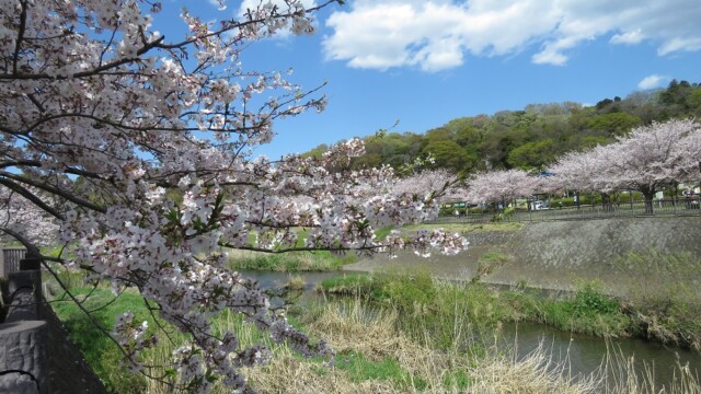 maa
ファイルサイズ: 460 KB
サイズ: 1000 x 750 ピクセル