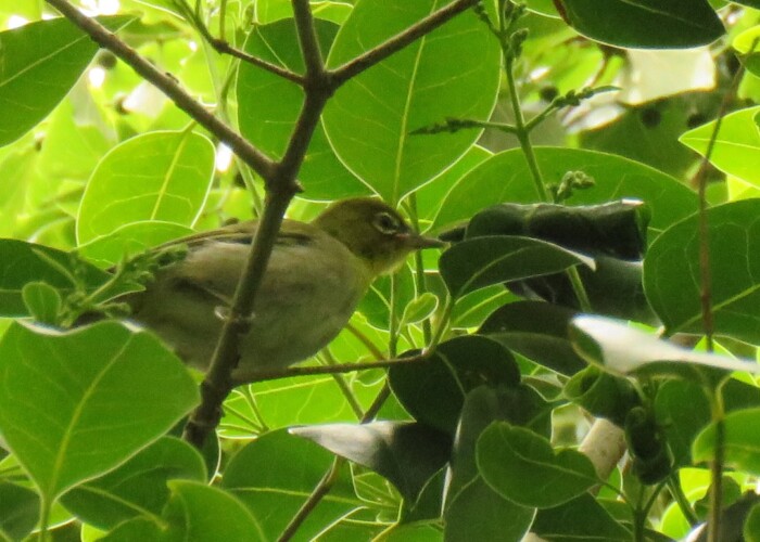 maa 381 KB
1080 x 1080 ピクセル