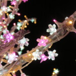 maa
4 MB
サイズ: 4608 x 3456 ピクセル