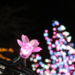 maa
3 MB
サイズ: 4608 x 3456 ピクセル