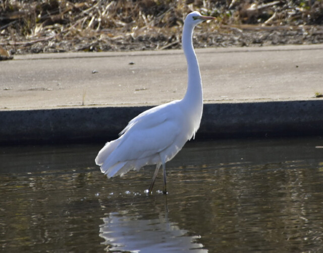 aasan
ファイルサイズ: 440 KB
サイズ: 800 x 600 ピクセル