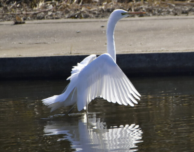 aasan
ファイルサイズ: 400 KB
サイズ: 800 x 600 ピクセル