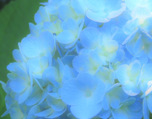 1 MB
4608 x 3456 ピクセル