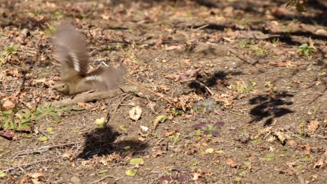 maa
ファイルサイズ: 335 KB
サイズ: 1088 x 726 ピクセル