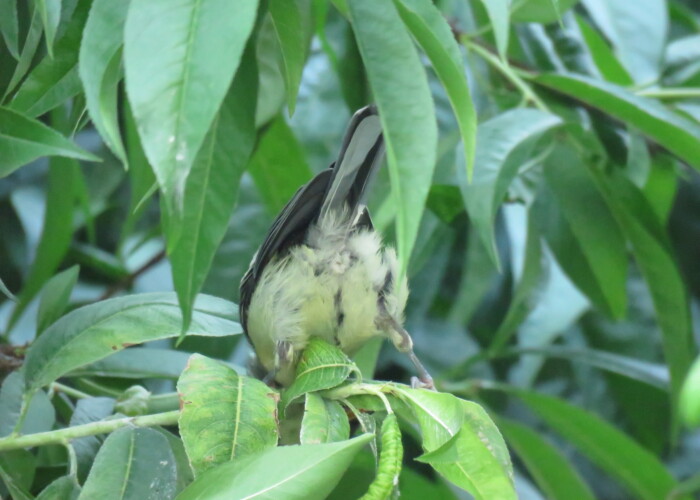 1,007 KB
2048 x 1536 ピクセル