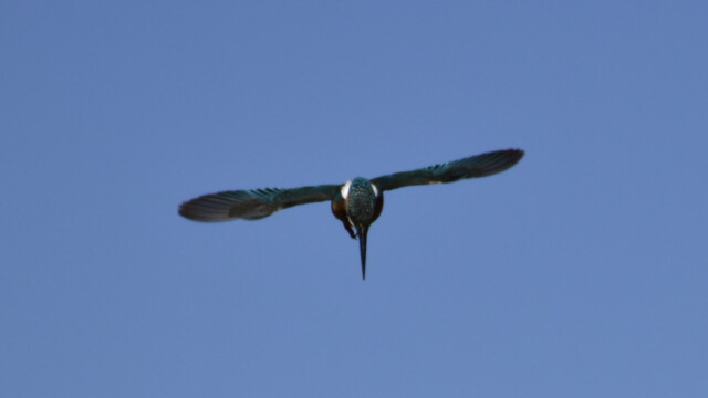 aasan
135 KB
800 x 600 ピクセル