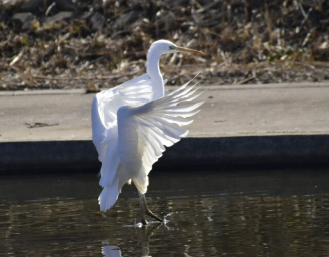 aasan
ファイルサイズ: 419 KB
サイズ: 800 x 600 ピクセル