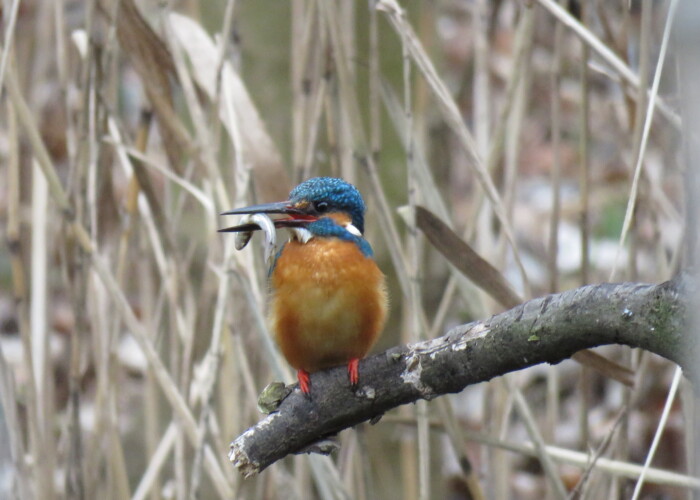 7 MB
4608 x 3456 ピクセル