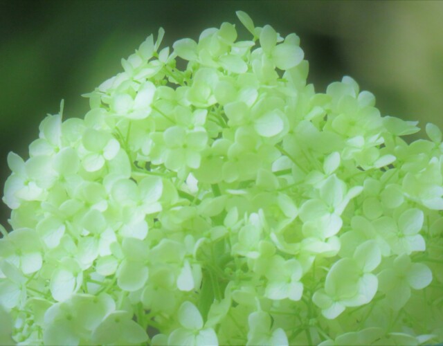 3 MB
4608 x 3456 ピクセル