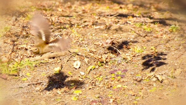 maa
304 KB
1088 x 726 ピクセル