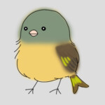 アイコン用
400×400px