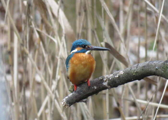 7 MB
4608 x 3456 ピクセル