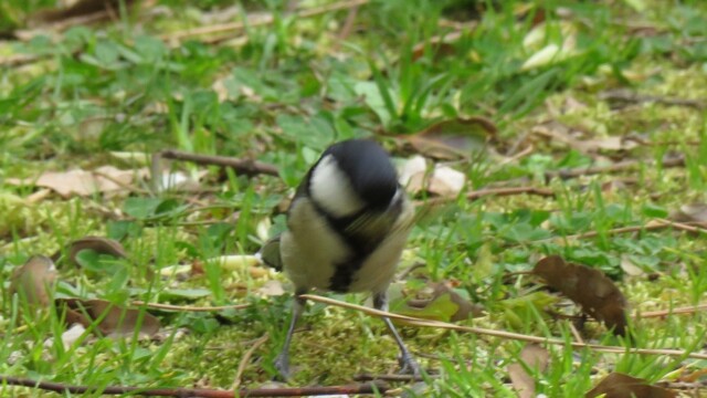 ファイルサイズ: 355 KB
サイズ: 1240 x 826 ピクセル