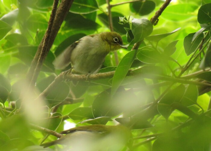 maa 297 KB
1080 x 1080 ピクセル