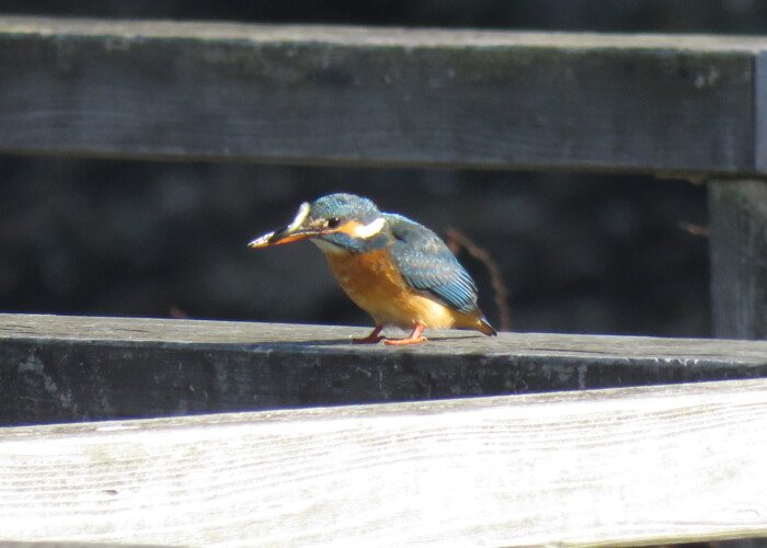 5 MB
4608 x 3456 ピクセル