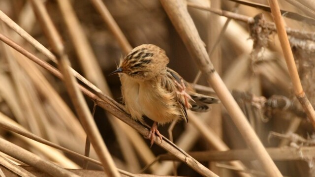 aasan
ファイルサイズ: 172 KB
サイズ: 954 x 715 ピクセル