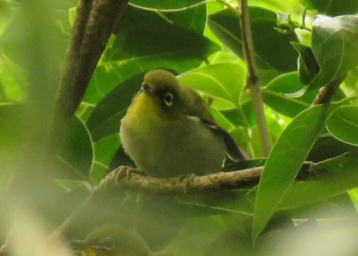 maa 313 KB
1080 x 1080 ピクセル