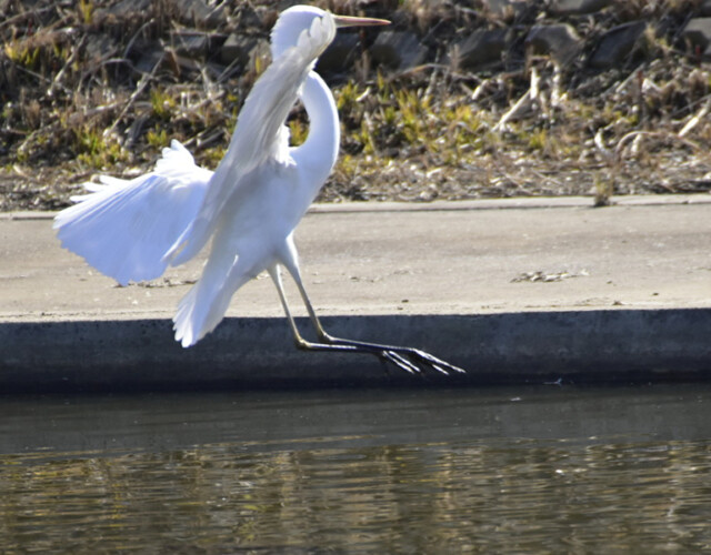 aasan
ファイルサイズ: 504 KB
サイズ: 800 x 600 ピクセル