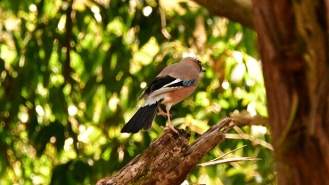 aasan
122 KB
680 x 453 ピクセル