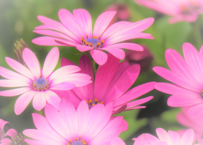 ファイルサイズ: 2 MB
サイズ: 4608 x 3456 ピクセル