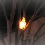 952 KB
4039 x 2272 ピクセル
maa