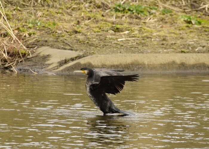 313 KB
1000 x 750 ピクセル