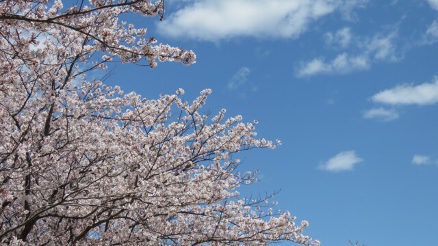 maa
ファイルサイズ: 385 KB
サイズ: 1000 x 750 ピクセル