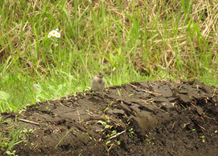 10 MB
4608 x 3456 ピクセル