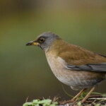 323 KB
1620 x 1080 ピクセル