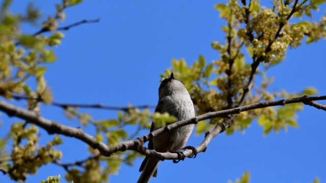 ファイルサイズ: 283 KB
サイズ: 1620 x 1080 ピクセル
aasan