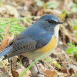 6 MB
4608 x 3456 ピクセル